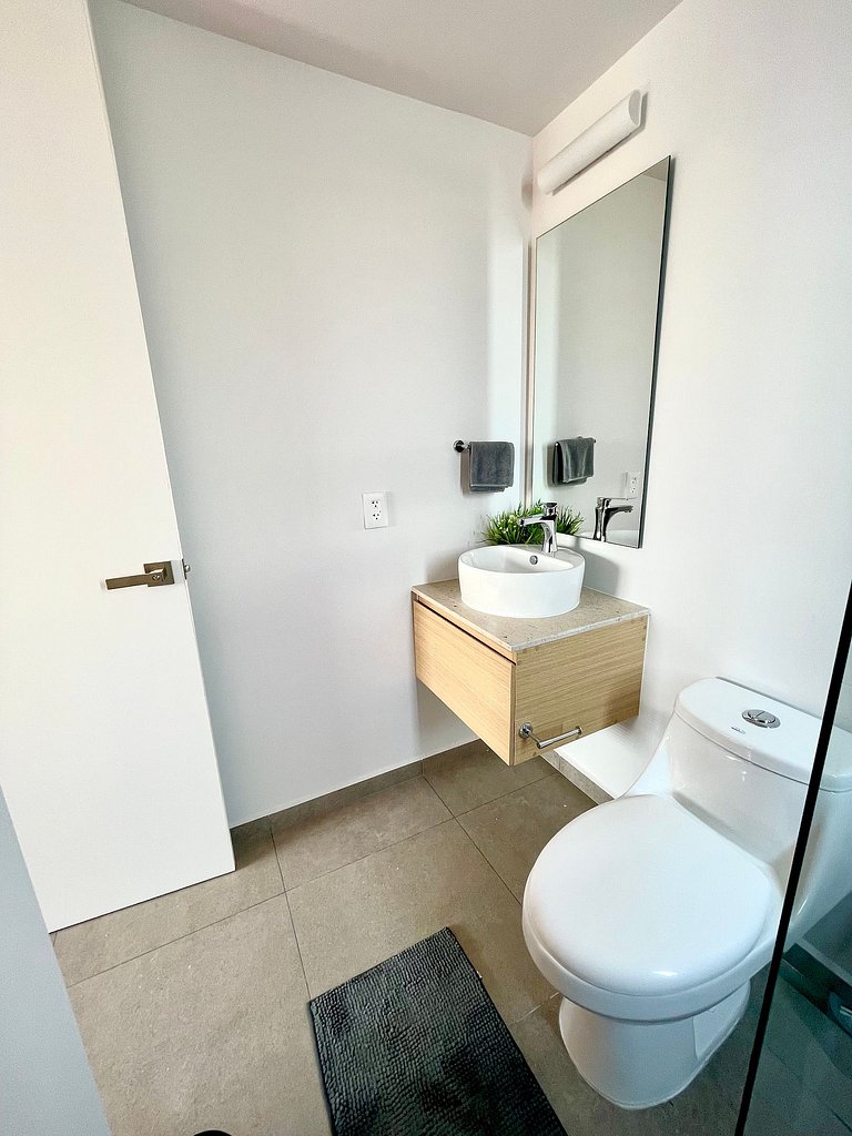 Nuevo, Zona chapultepec, preciosa vista, piso 19